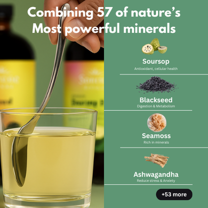 ReBalanced Herbal Detox Bundle – Restore Digestion, Energy & Calm in 14 Days